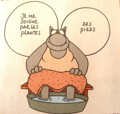 humour,le chat geluck,loisirs,culture,rire