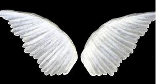 citations,expressions,proverbe,culture