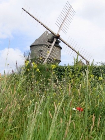 poésie,poème,poète,culture