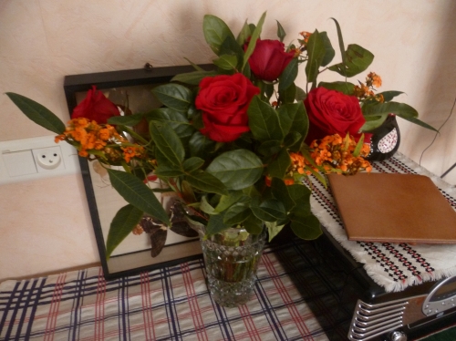 fleurs,plantes,bouquet,vie à la maison,anniversaire