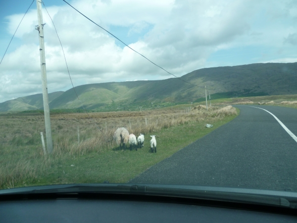 irlande,galway,voyage,souvenirs,culture