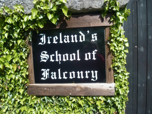 irlande,galway,voyage,souvenirs,culture