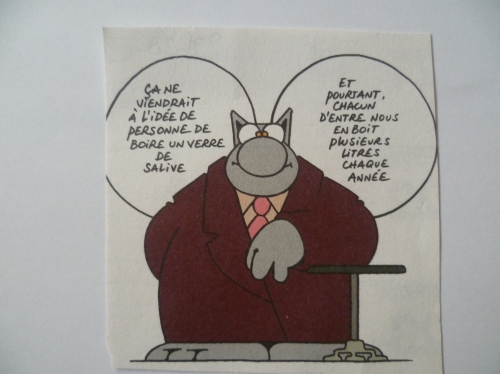 humour,bande dessinées,le chat,geluck,culture,dessins,album,livre