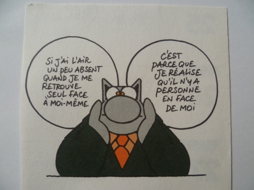 humour,bande dessinées,le chat,geluck,culture,dessins,album,livre