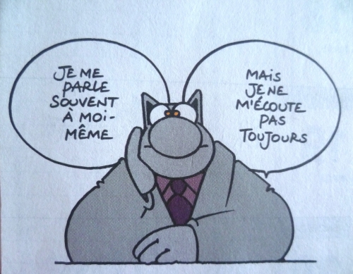 humour,rire,loisirs,le chat,culture