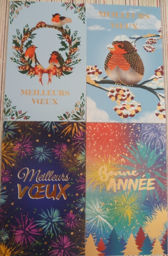 P1110079 CARTES VOEUX 2025.JPG